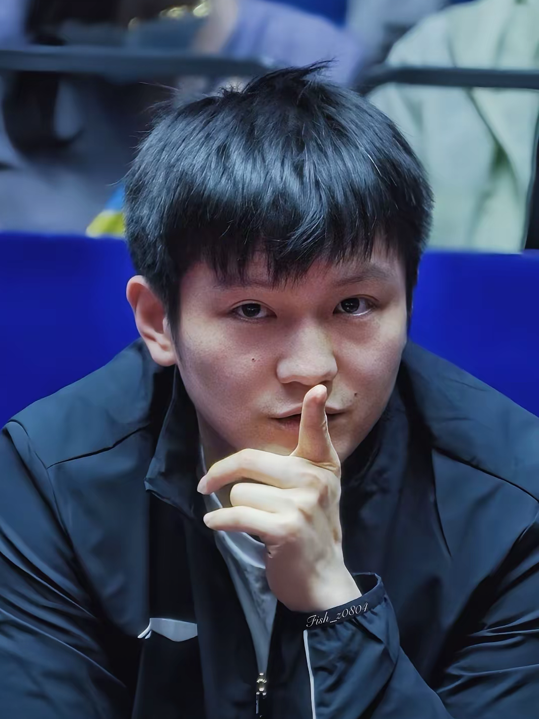 关于波兰队险胜法国队,樊振东刷新纪录的信息 关于波兰队险胜法国队,樊振东刷新纪录的信息