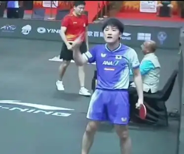 葡萄牙队绝杀法国队，张本智和点燃赛场的简单介绍