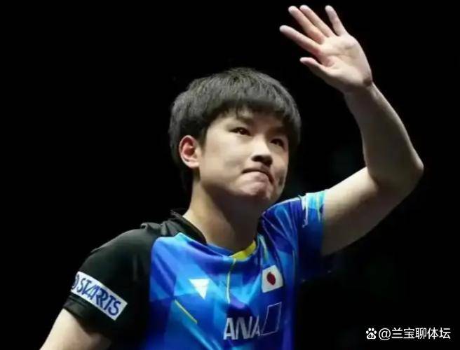 葡萄牙队绝杀波兰队，张本智和扛起全队的简单介绍