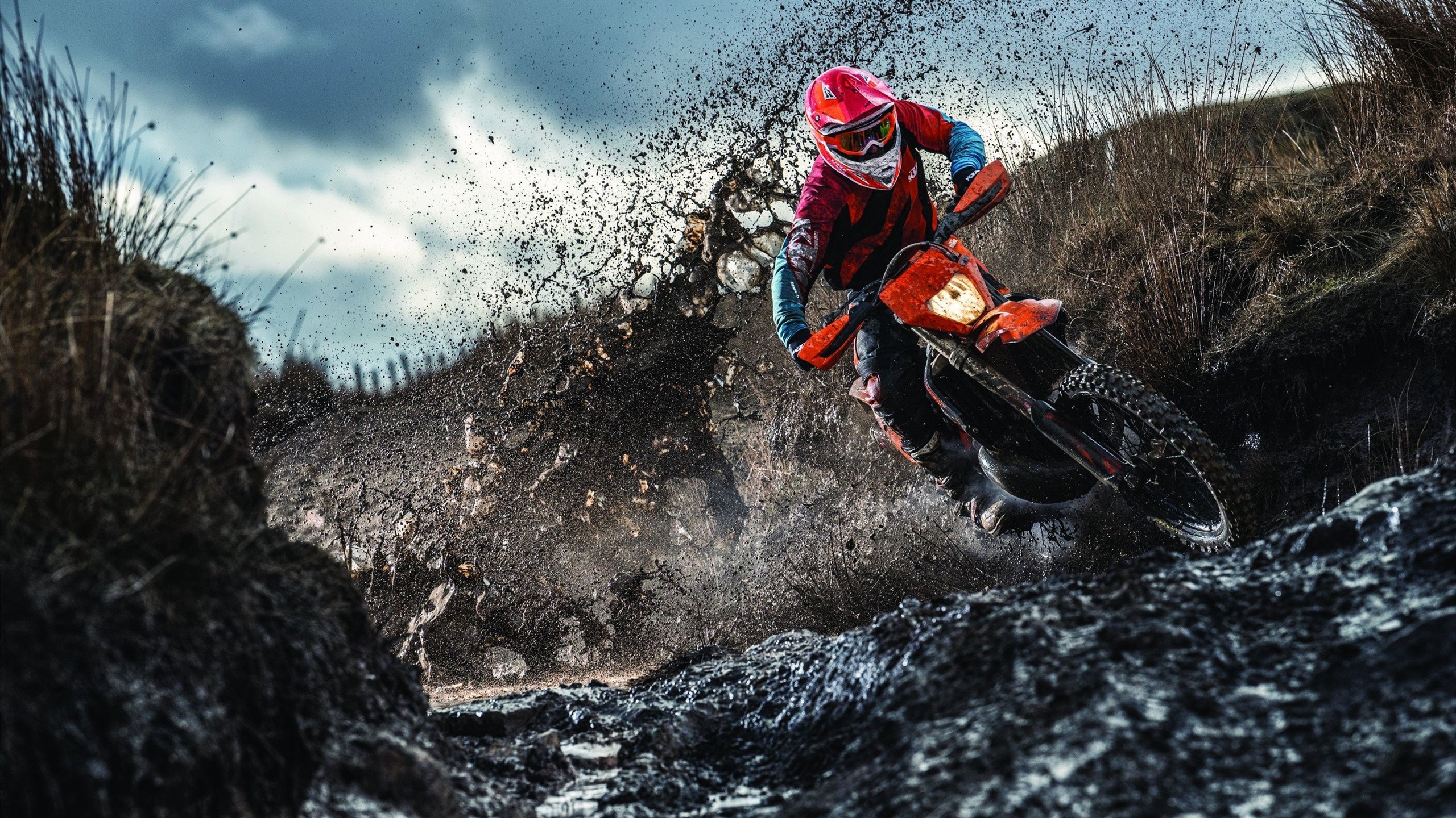 福克斯末节狂飙定乾坤，广东队攻防碾压灰熊显冠军底蕴